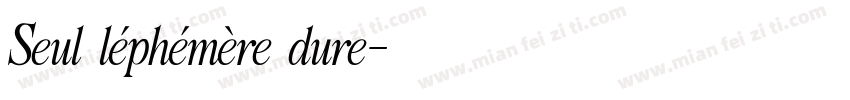 Seul léphémère dure字体转换